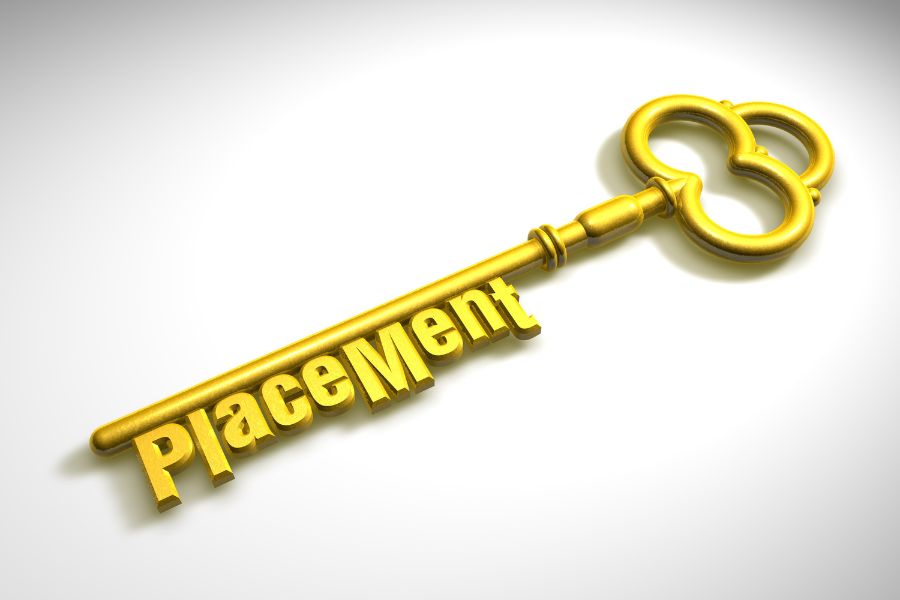 Find the Right Fit with Placement Services US